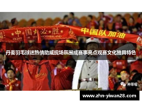 丹麦羽毛球迷热情助威现场氛围成赛事亮点观赛文化独具特色