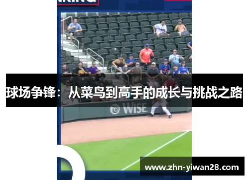 球场争锋：从菜鸟到高手的成长与挑战之路