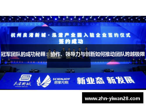 冠军团队的成功秘籍：协作、领导力与创新如何推动团队跨越极限