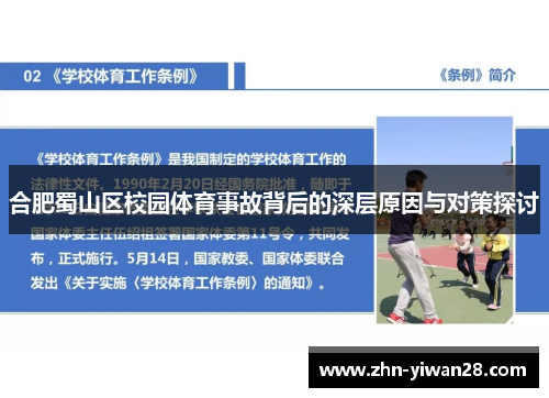 合肥蜀山区校园体育事故背后的深层原因与对策探讨