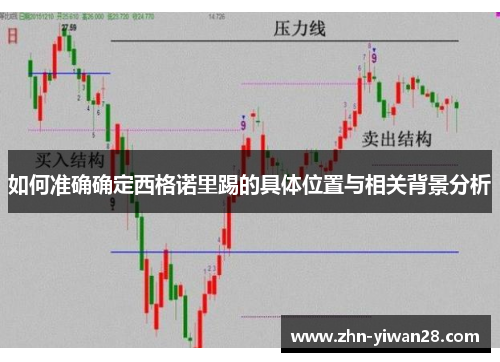 如何准确确定西格诺里踢的具体位置与相关背景分析