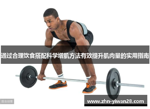 通过合理饮食搭配科学增肌方法有效提升肌肉量的实用指南