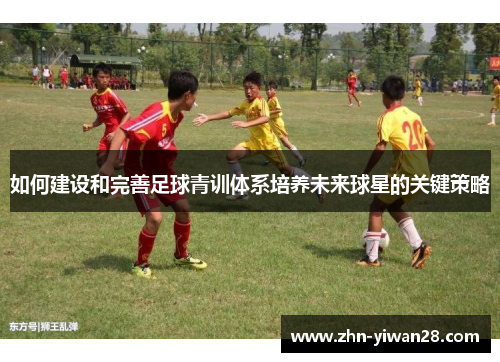如何建设和完善足球青训体系培养未来球星的关键策略